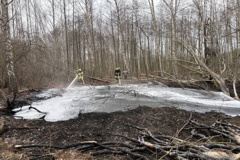 Auf circa 250 Quadratmetern brannte der Boden auf dem ehemaligen Kippengelände.
