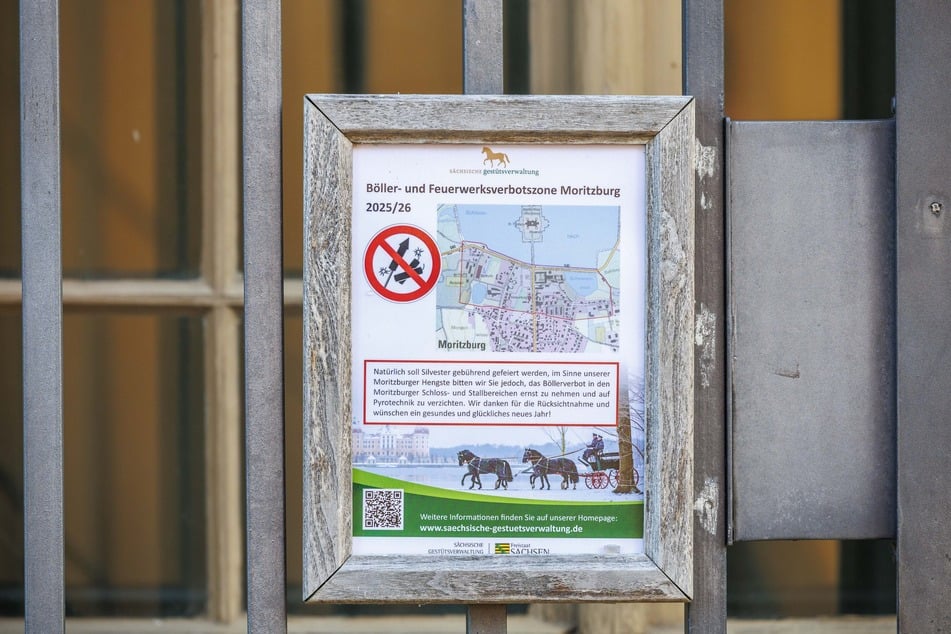 Böller und Feuerwerk sind in Moritzburg vor dem Schloss während Silvester verboten.