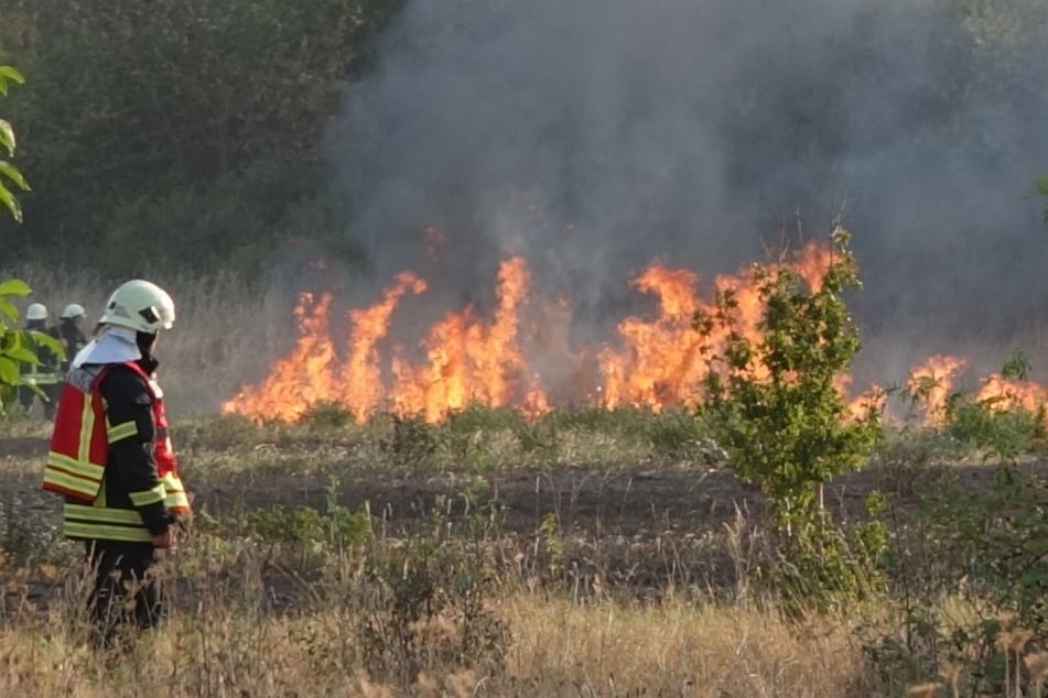 Ein Feld im Stadtteil Knautkleeberg-Knauthain stand in Flammen.