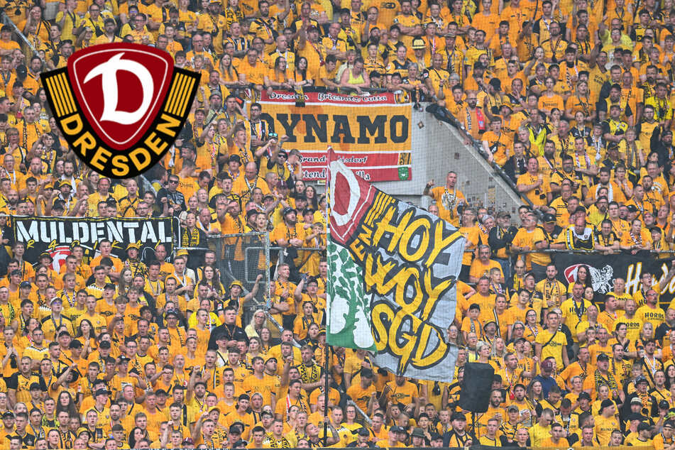 Wird Dynamos Pokalspiel verschoben? Mainz zieht vor DFB-Bundesgericht
