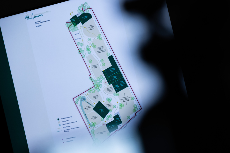 Eine erste Vorplanung für den neuen Affenpark wird auf einer Pressekonferenz im Rathaus vorgestellt.