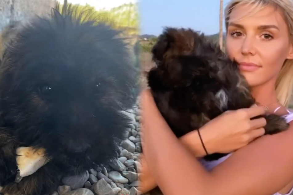 Gerda Lewis' (27) neuer Hund stammt aus einem griechischen Tierheim. (Fotomontage)