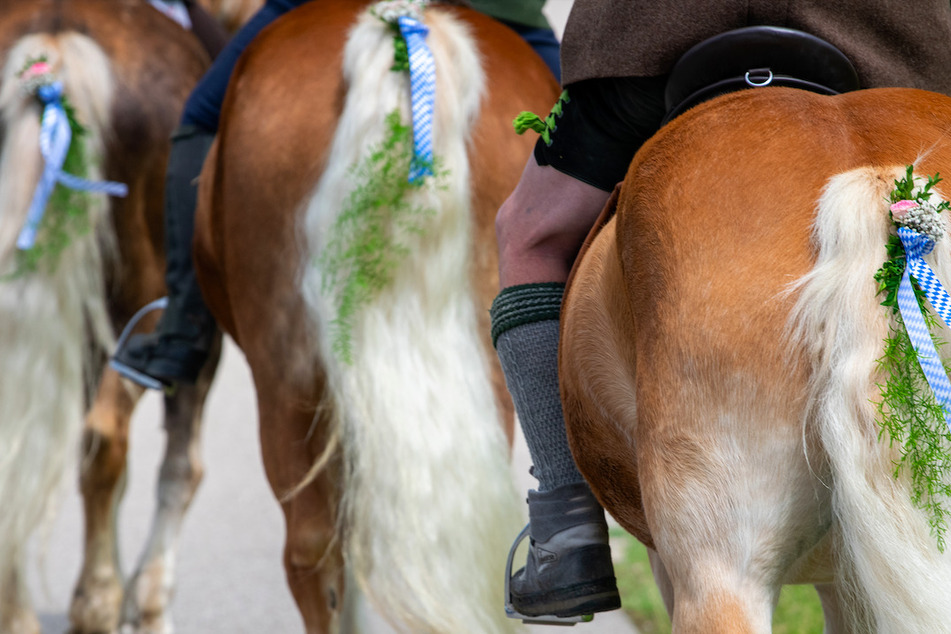 Trachtler reiten bei einem Leonhardiritt auf geschmückten Pferden. Ein Umzug in Schwaben endete mit drei verletzten Menschen. (Symbolbild)