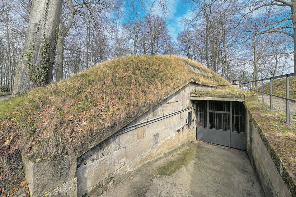 Der Eingang zum streng geheimen "Atombunker" unter dem Festungswald auf der Festung Königstein.
