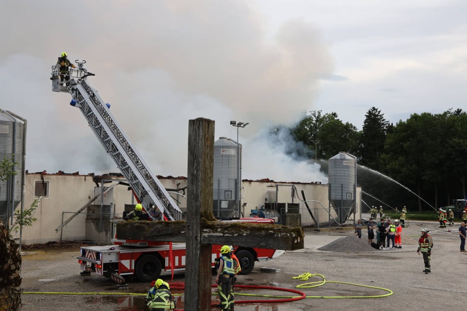 Der Brand eines Schweinestalls mit Hunderten Tieren im Landkreis Aichach-Friedberg hat einen Schaden von etwa 2,5 Millionen Euro verursacht.