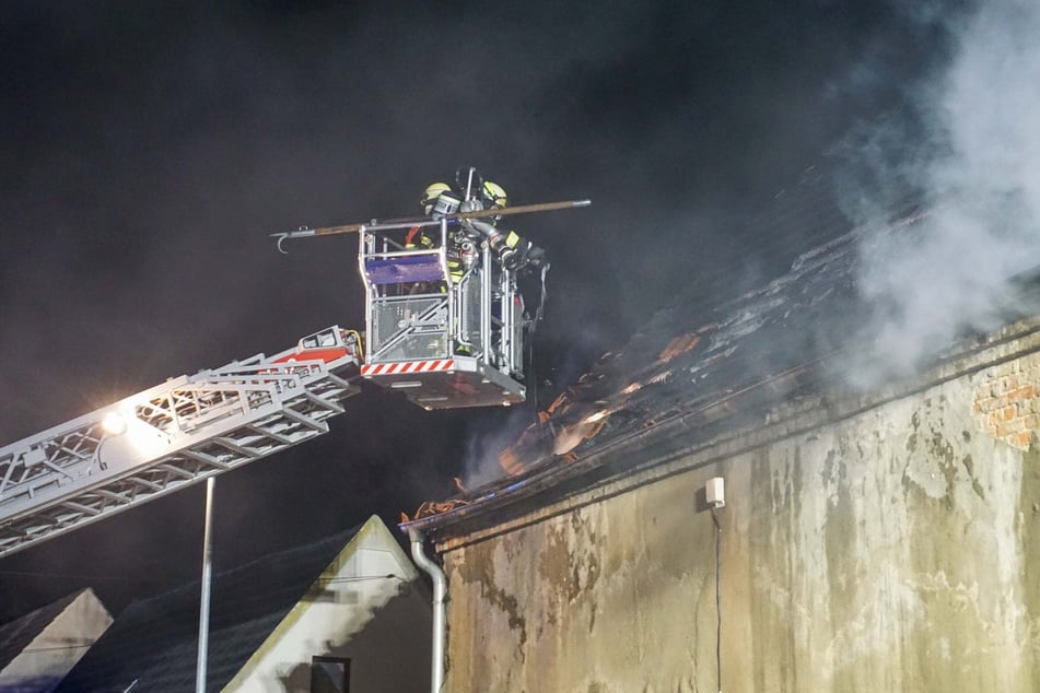 Mit einer Drehleiter rückten die Einsatzkräfte den Flammen zu Leibe.