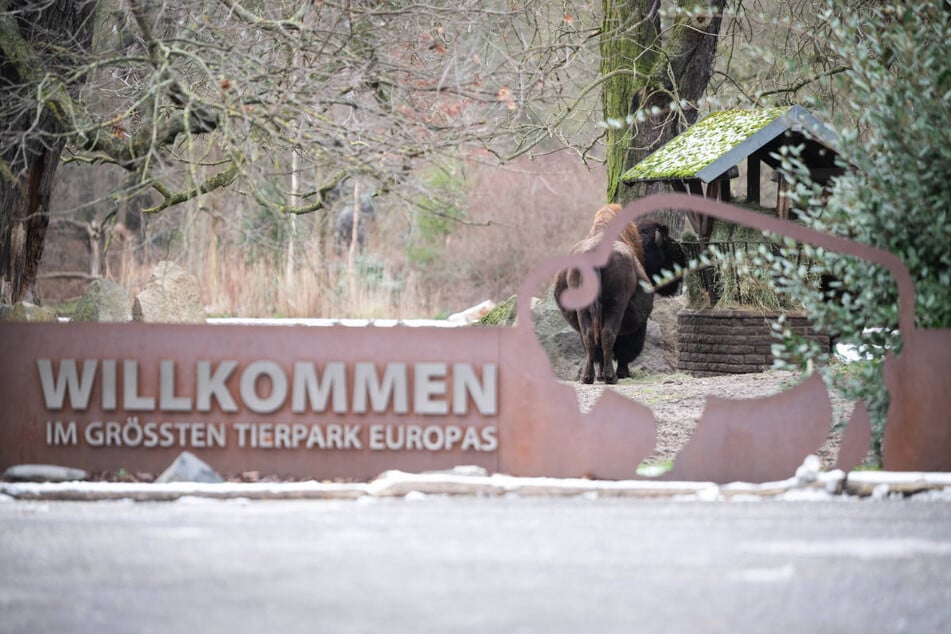 Der Tierpark im Ortsteil Friedrichsfelde ist die größte Anlage ihrer Art in ganz Europa.