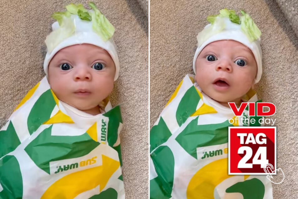 viral videos: Viral Video of the Day for November 1, 2025: Baby goes viral dressed as mini Subway sandwich for Halloween!
