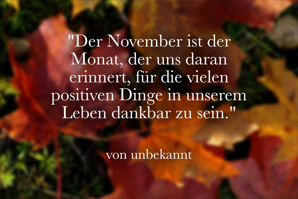 Der November ist der Monat, der uns daran erinnert, für die vielen positiven Dinge in unserem Leben dankbar zu sein.