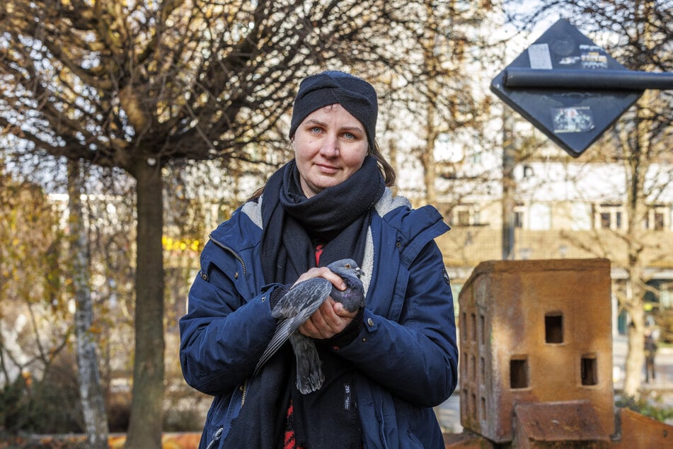 Vorsitzende der Stadttauben-Initiative Marta Broll hofft, dass der Tierquäler schnell gefasst wird.