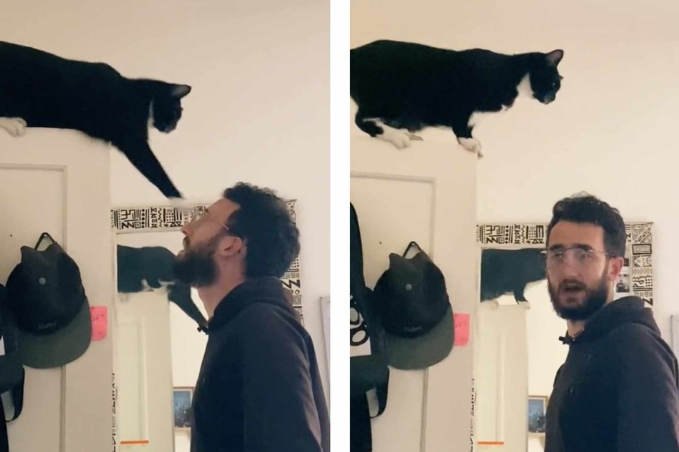 Soap the tuxedo cat's adorable temper tantrum, showcased in a now-viral video first shared on Friday, has got TikTok users rolling on the floor with laughter.