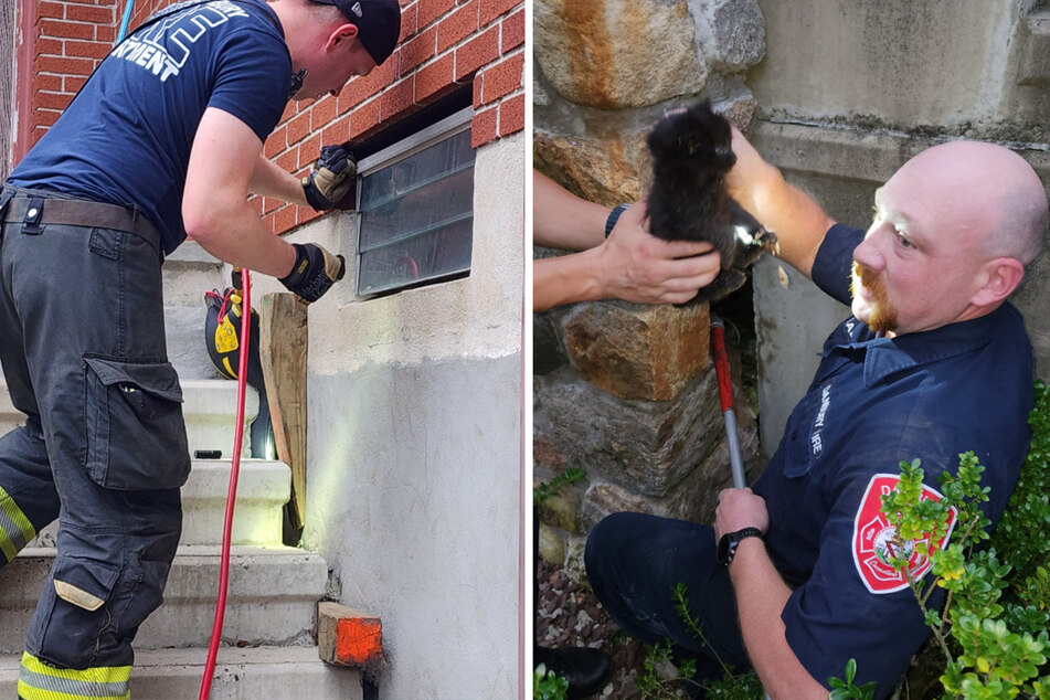 It took a whole team of firefighters to free these little kittens from a crack in the pavement!