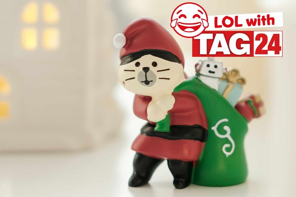 Joke of the Day for December 13, 2025: A cat Christmas funny.