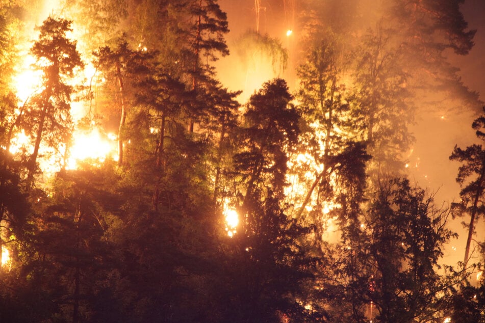 Der gigantische Waldbrand hielt die Feuerwehren tagelang in Atem.