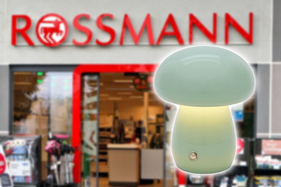 Bei ROSSMANN sind diese schönen Akku Pilzleuchten gerade günstig