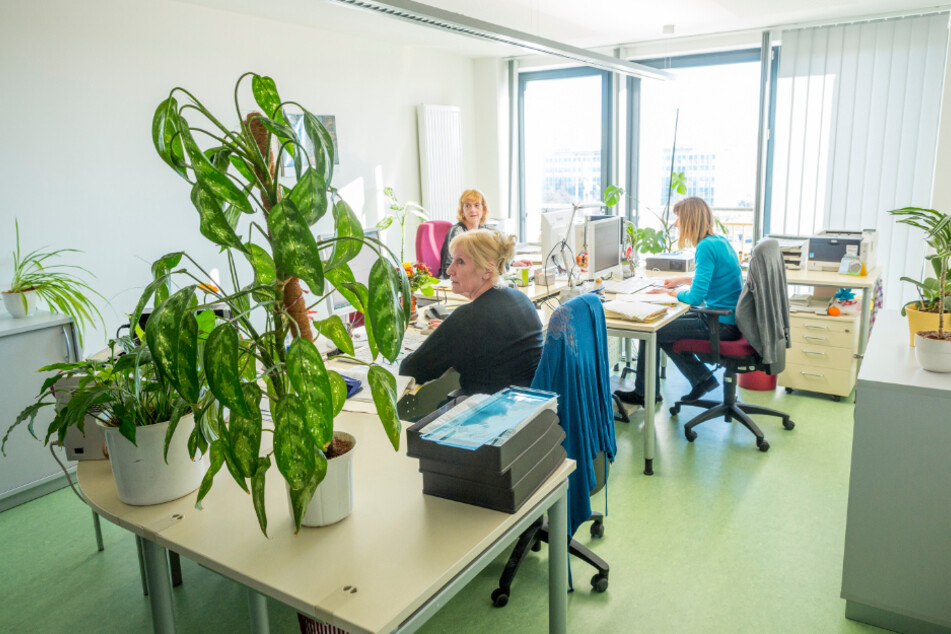 Die Finanzspritze für die Rathausmitarbeiter kommt nicht überall gut an, selbst bei denen, die sie erhalten.