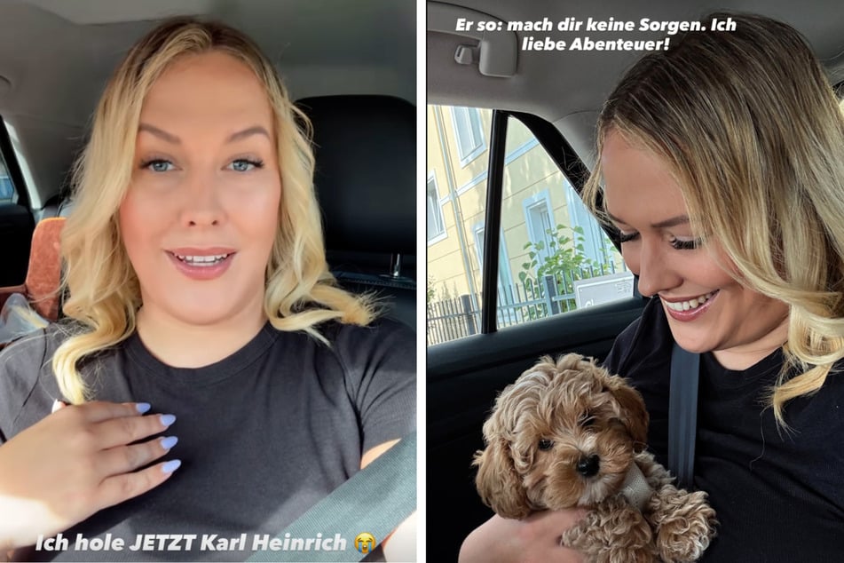 Beim Abholen des kleinen Rüden ist Josi richtig aufgeregt (l), aber dann läuft alles sehr entspannt.