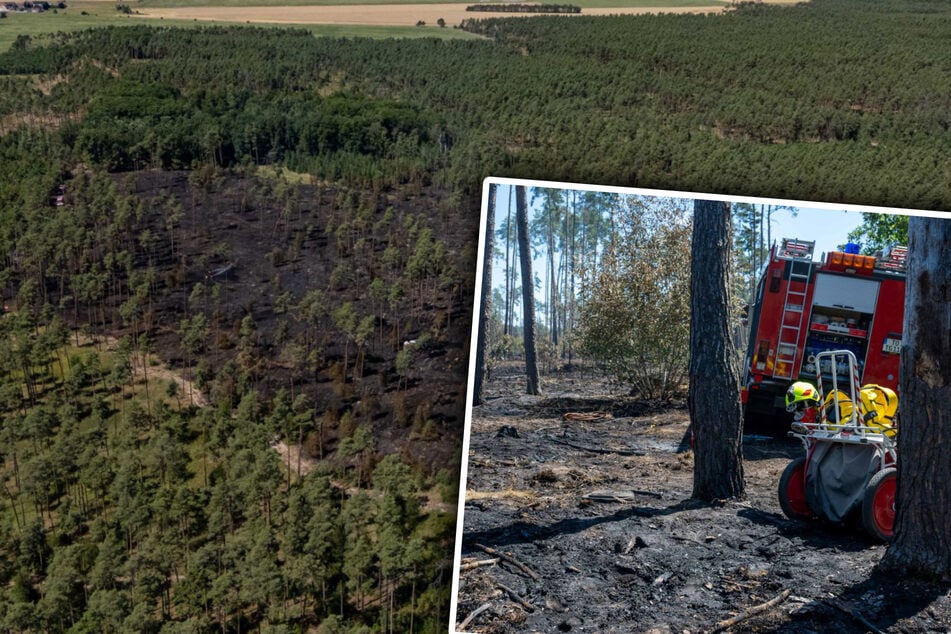 Waldbrand hält über hundert Einsatzkräfte tagelang in Schach: "Das Wetter ist nicht unser Freund"