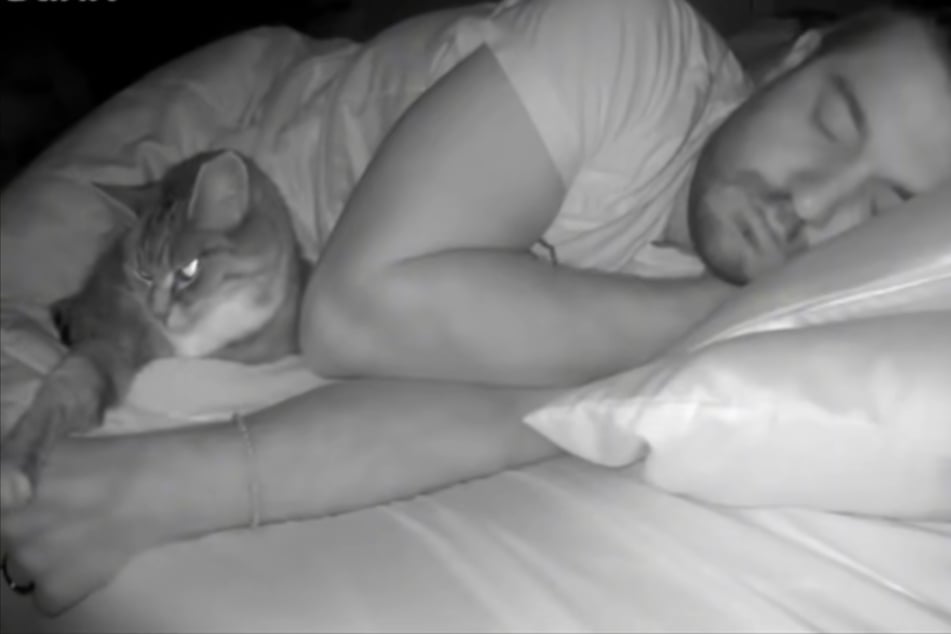 Gänsehautmoment: Minnie hält die Hand ihres Besitzers Nick Filippou (34).