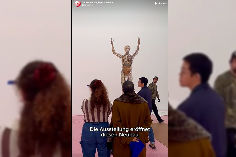 Im New Museum können die Besucher den Gläsernen Mann von allen Seiten betrachten.