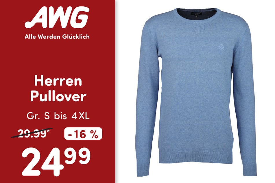 Herren Pullover