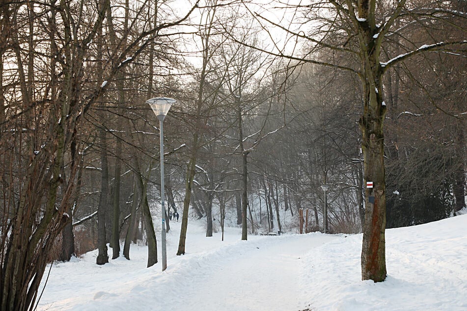 Ein 26-Jähriger wurde im Stadtpark bedroht und bestohlen. (Archivfoto)