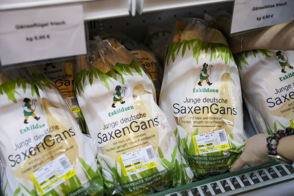 Eine Mitarbeiterin der Gänsezucht Eskildsen packt verkaufsfertige Gänse in die Tiefkühltruhe.