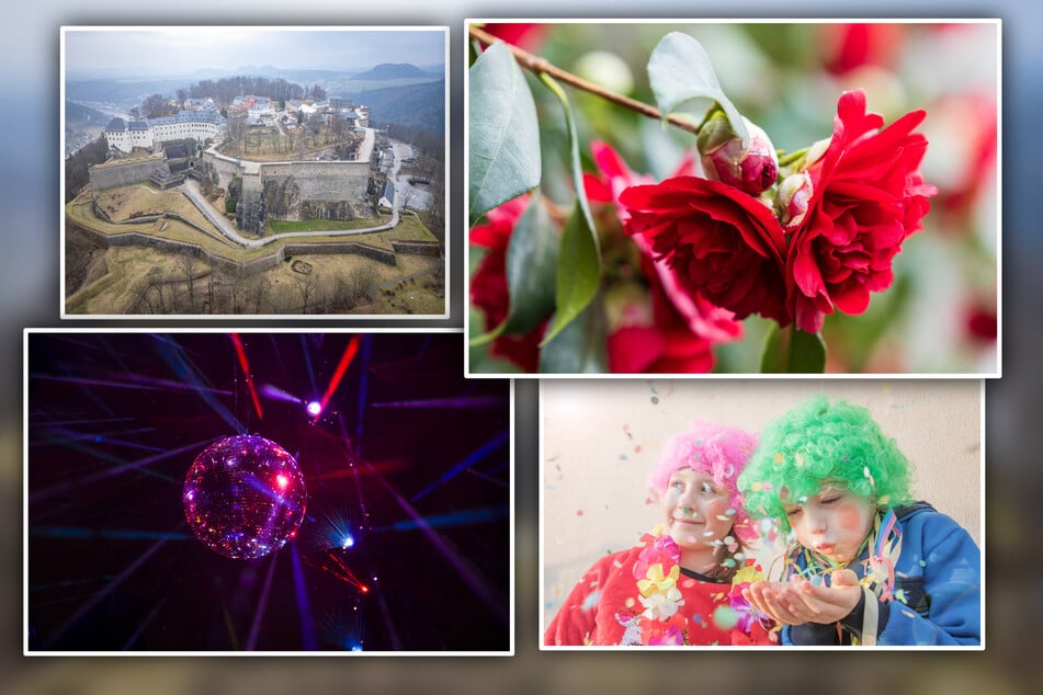 Dresden: Acht Tipps für den perfekten Sonntag in Dresden und Umgebung