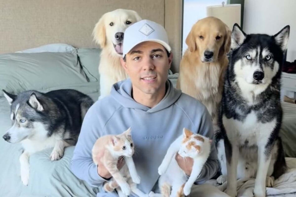 Corey Moriarty loves his posse of pet dogs and cats more than anything.