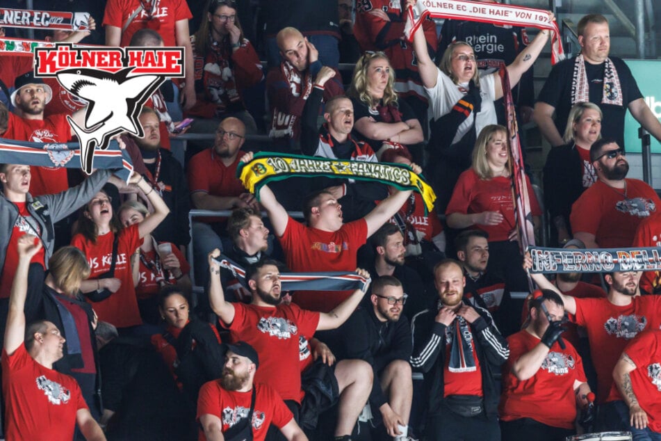 Nicht nur Tabellenführer in der DEL: Hier sind die Kölner Haie Spitzenreiter von Europa