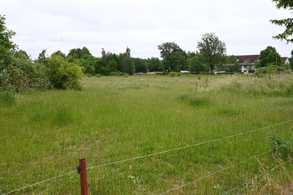 Ja, diese Weide gehört auch noch zu Leipzig. Bei Anwohnern ist das Stück Grün ein beliebtes Erholungsziel in der Großstadt.