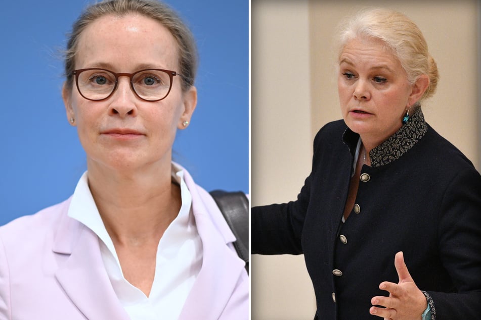 Plagiatsvorwürfe: CDU-Abgeordnete fordert Konsequenzen für Brosius-Gersdorf und gerät selbst ins Visier