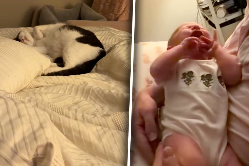 Baby weint bitterlich: Reaktion von Katze berührt so viele