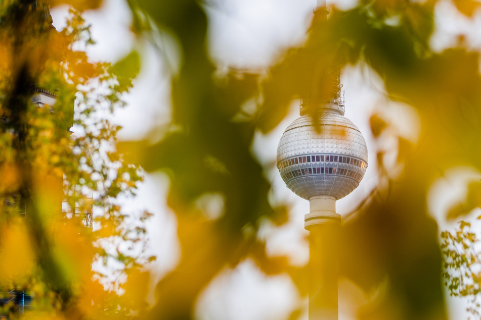 Am Wochenende können sich Berliner auf milde Temperaturen freuen.