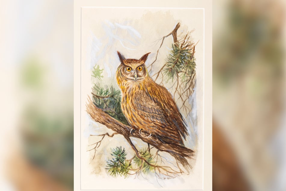 Nicht zu übersehen: Walter Venter liebte die Tiere des Waldes - auch den Waldkauz.