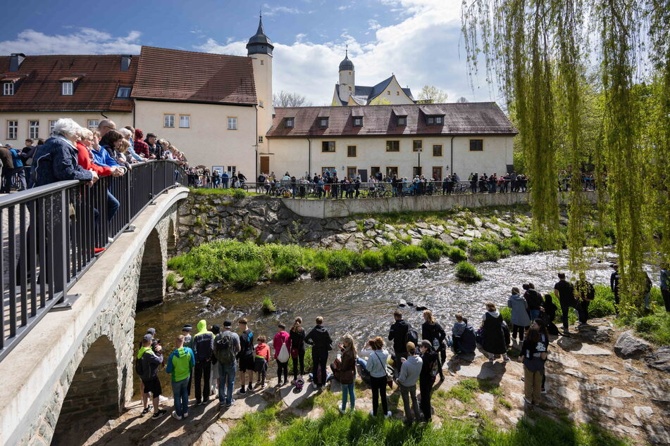 Das Entenrennen fand zum ersten Mal am Wasserschloss Klaffenbach statt.