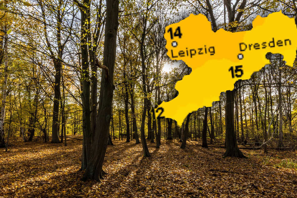 Goldener Herbst im Anmarsch! So mild wird die neue Woche in Sachsen