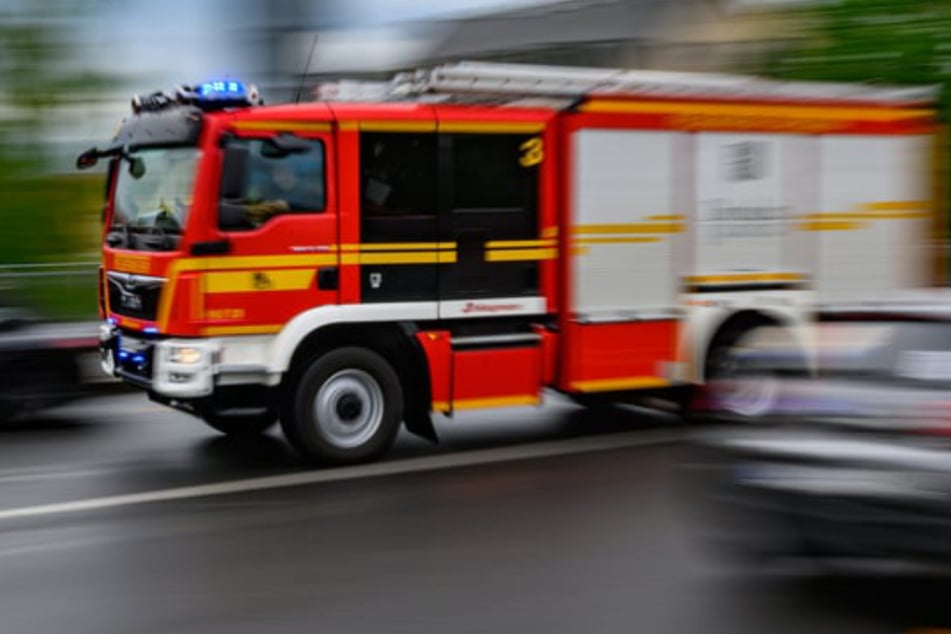 40 Kälber und Jungtiere sterben bei Scheunenbrand