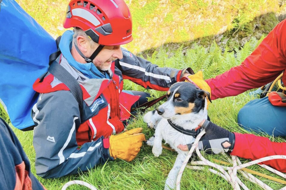 The Jack Russell terrier was rescued with no major injuries.