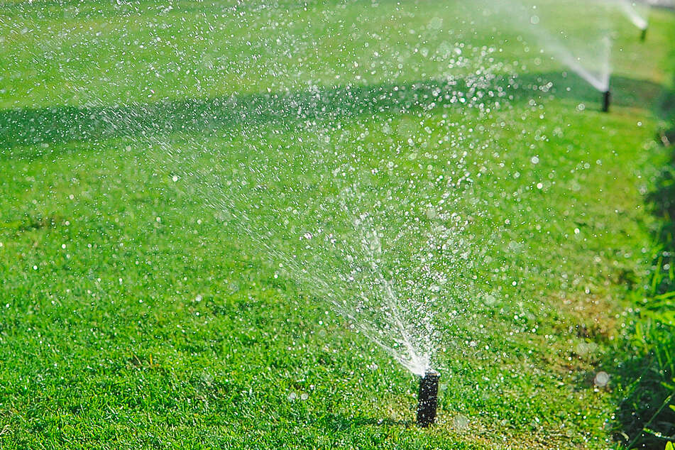 Sprinklers all day everyday are a faint memory in SoCal.