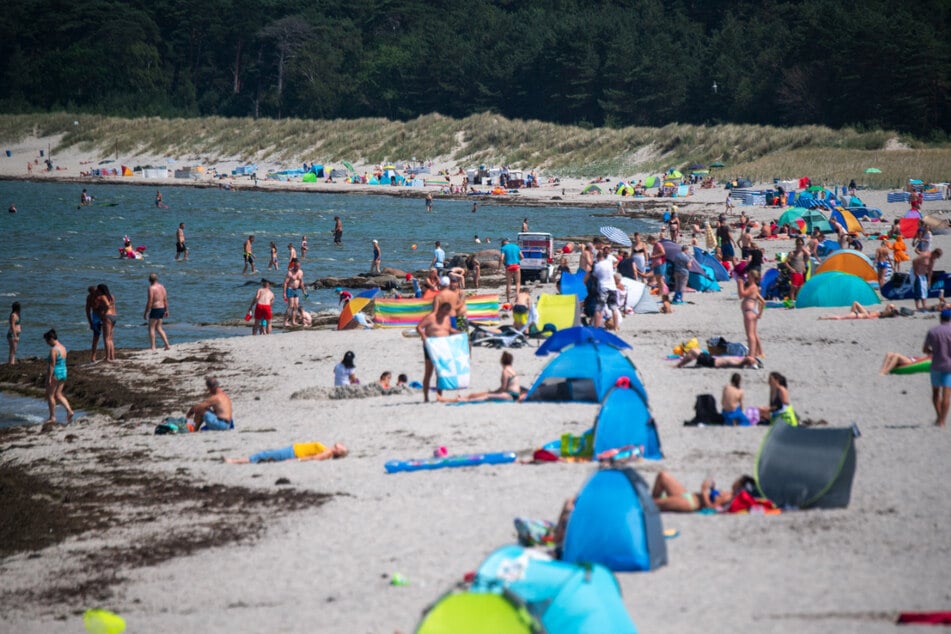 An der Nord- und Ostsee ist die Gefahr einer Vibrionen-Erkrankung groß.