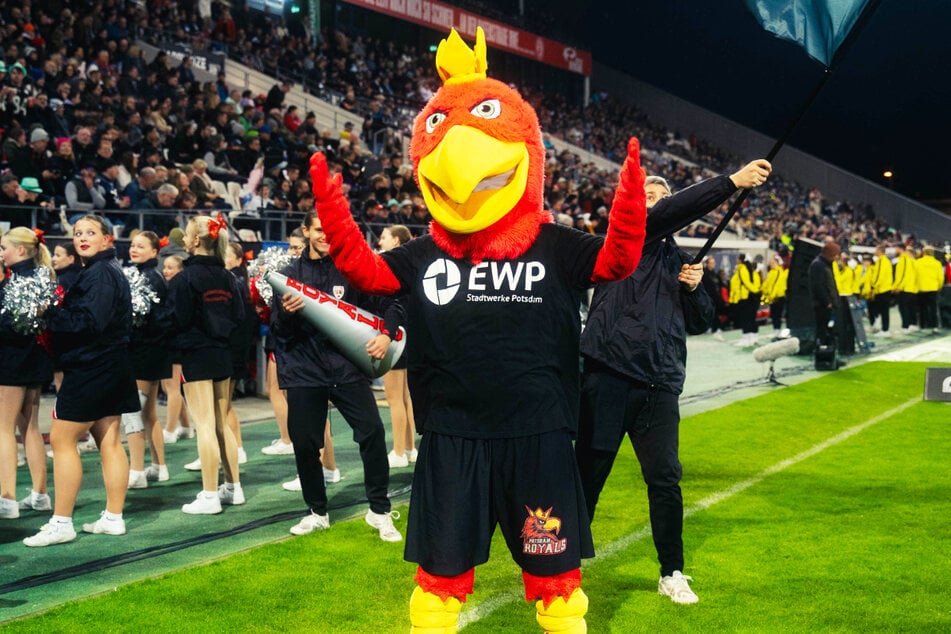 Monarchs gegen Royals: Wer wird Deutscher Football-Meister?
