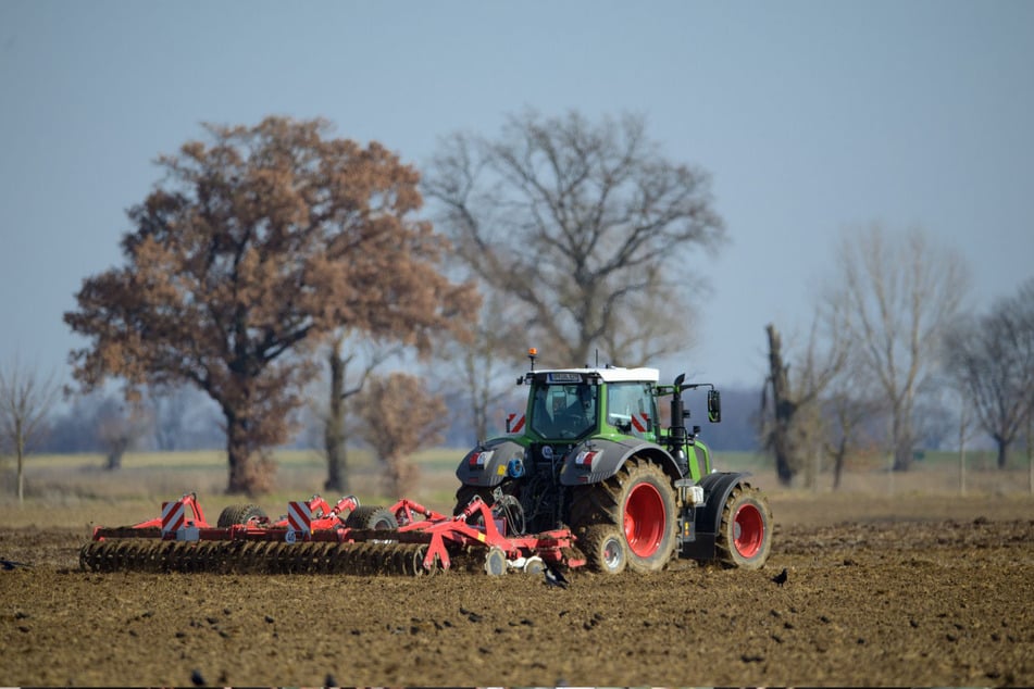 "Klare Anreize für Klima-, Boden- und Naturschutz", fordern die Grünen für Sachsens Landwirte.