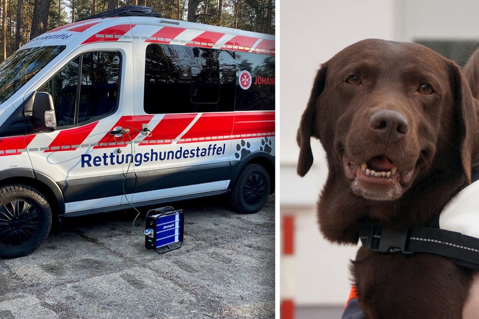 Aktivisten greifen Rettungshunde-Staffel in Sachsen an: "Ihr F*tzen, jetzt seid Ihr dran!"