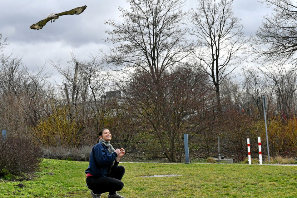 Stationsleiterin Saskia Keller (34) und Mäusebussard "Einauge" bei der Fütterung.