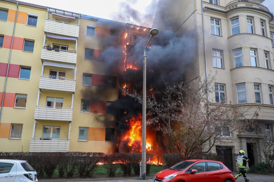 Bilder zeigen das verheerende Ausmaß.