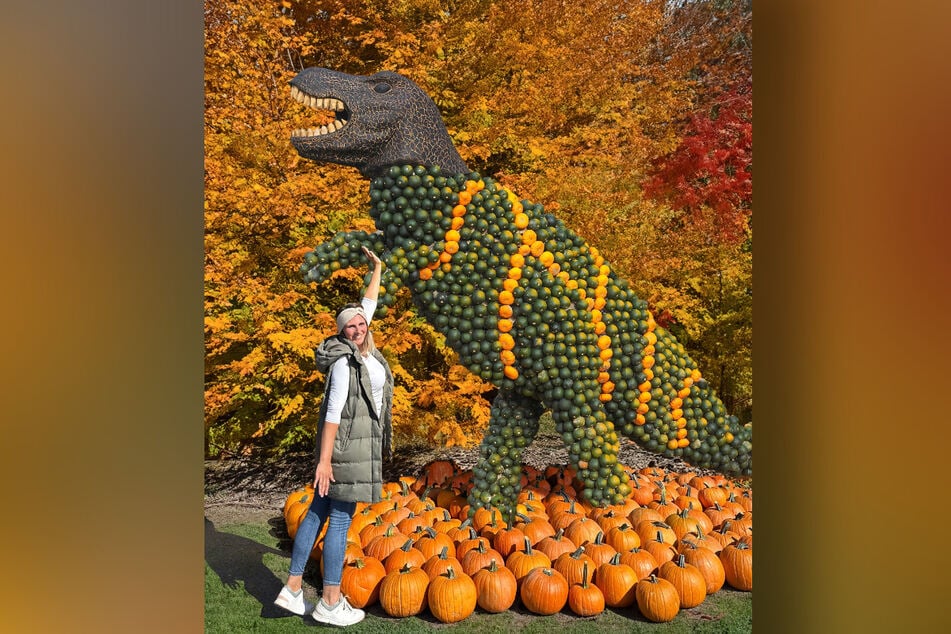 Der Freitaler Freizeitpark Oskarshausen sieht orange!