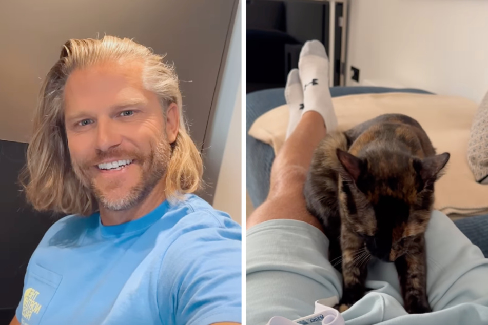 Paul Janke (41) hat sich auf Instagram bei der Massage seines Intimbereichs gezeigt. Allerdings nicht mit einer Frau, sondern mit seiner Katze "Carlotta".