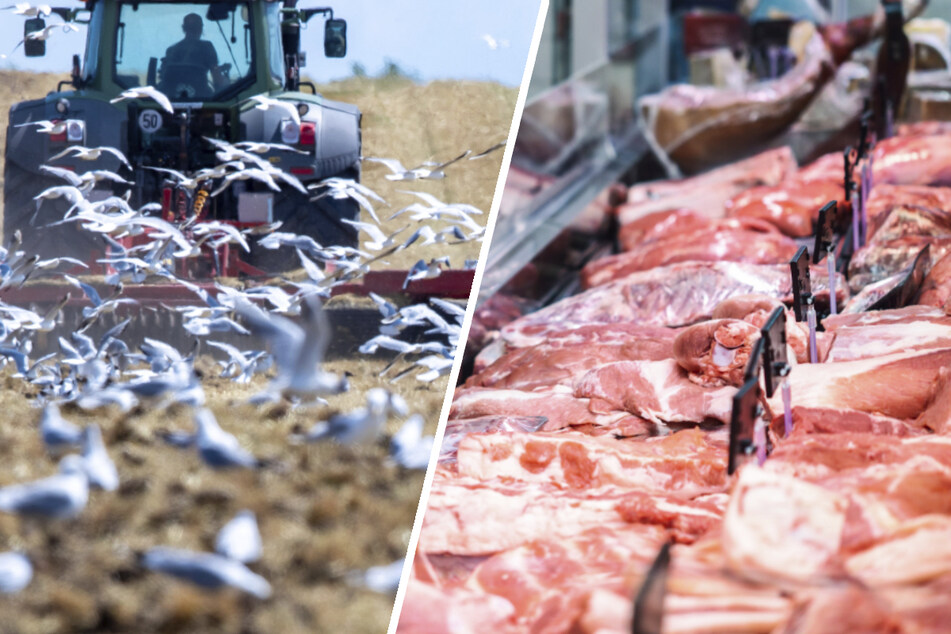 Fleisch bis zu 60 Prozent teurer! Das bewirken neue EU-Regeln für Bauern