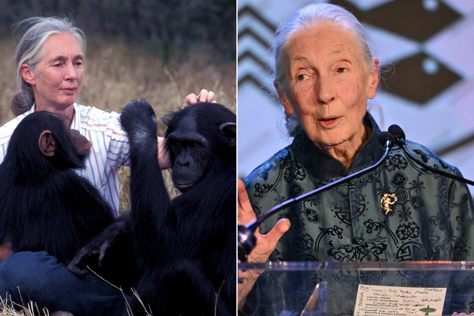 Jane Goodall, renowned primatologist and wildlife crusader, has died